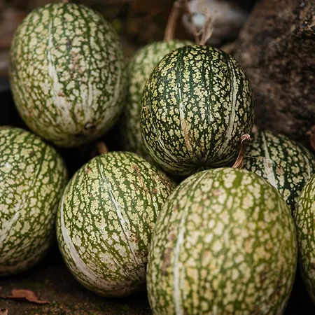Βίλα Quinta Do Fradinho - Casa Do Rio