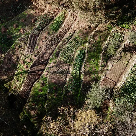 Quinta Do Fradinho - Casa Do Rio Βίλα