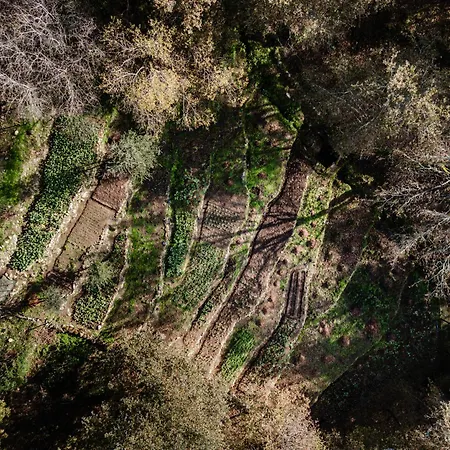 Вилла Quinta Do Fradinho - Casa Do Rio *