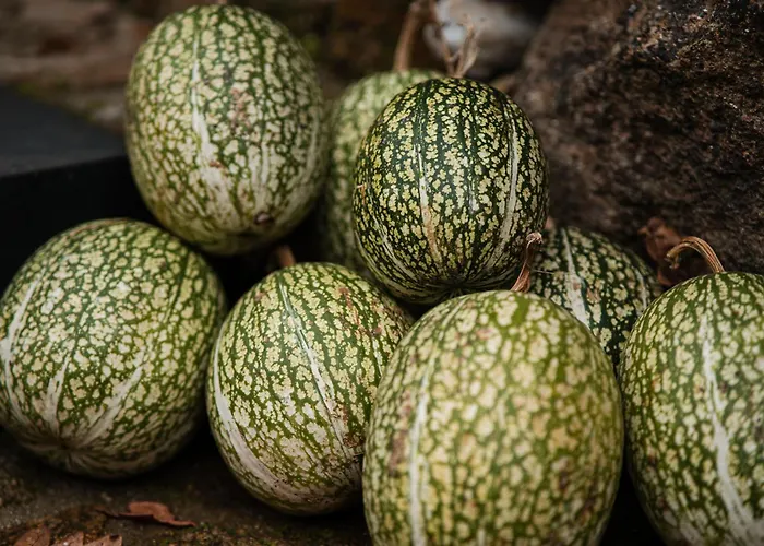 Βίλα Quinta Do Fradinho - Casa Do Rio