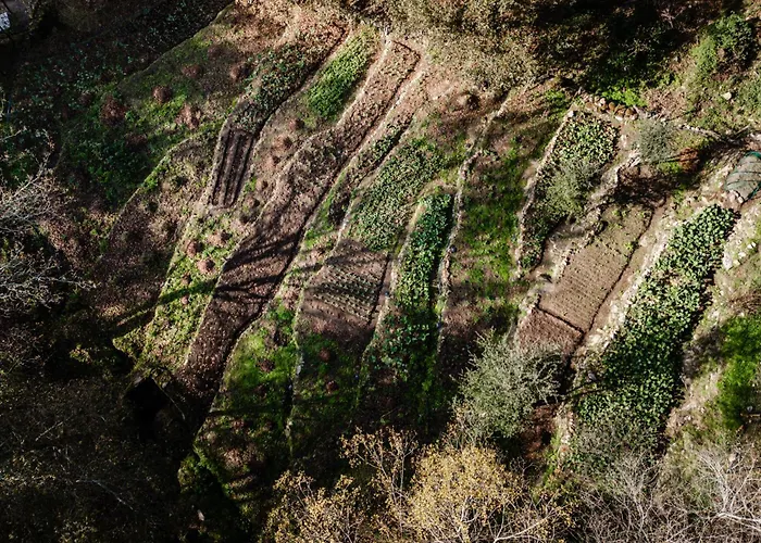 Quinta Do Fradinho - Casa Do Rio 빌라