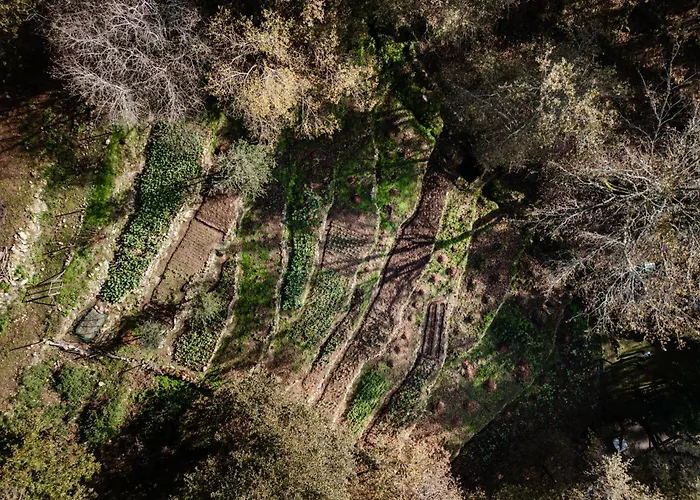 빌라 Quinta Do Fradinho - Casa Do Rio *